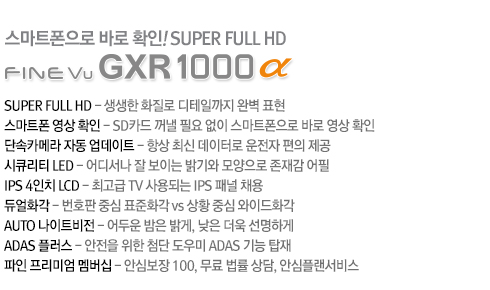 GXR1000 α 설명